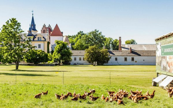 Schloss & Gut Liebenberg, Foto: DKB Stiftung, Lizenz: DKB Stiftung