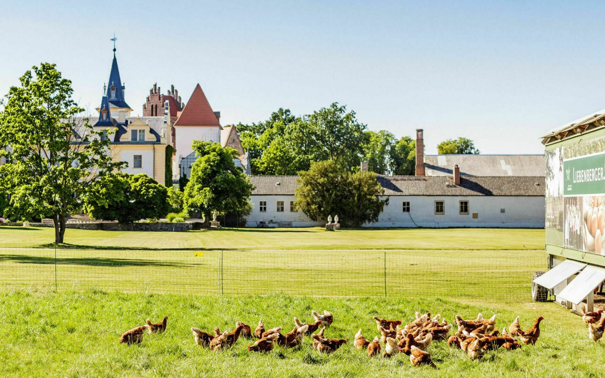 Schloss & Gut Liebenberg, Foto: DKB Stiftung, Lizenz: DKB Stiftung