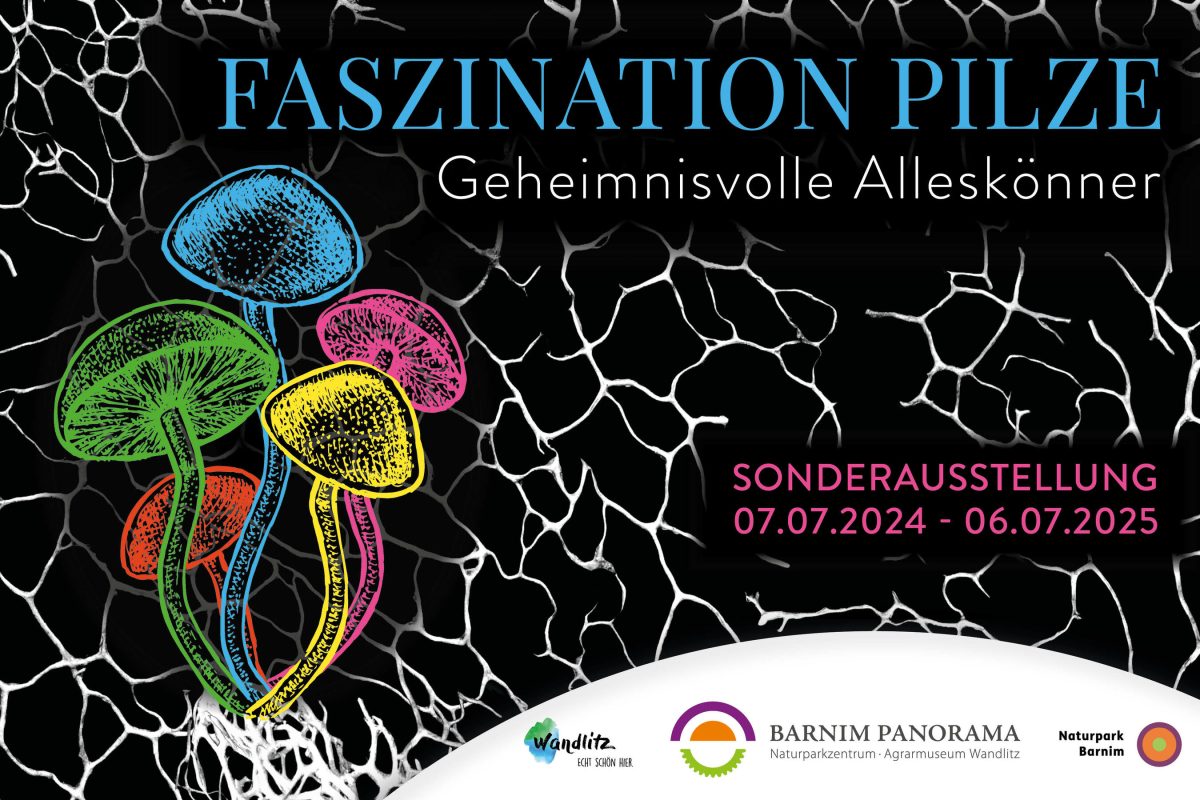 Faszination Pilze, Foto: Jeannine Schneider, Lizenz: Barnim Panorama