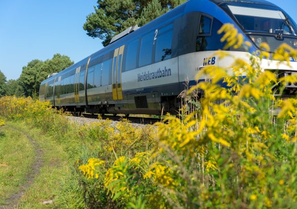 Mit der "Heidekrautbahn" auf Literaturfahrt, Foto: Silke Willenborg, Lizenz: NEB Niederbarnimer Eisenbahn