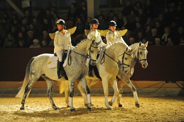 Weihnachtsgala Neustadt, Foto: Björn Schroeder