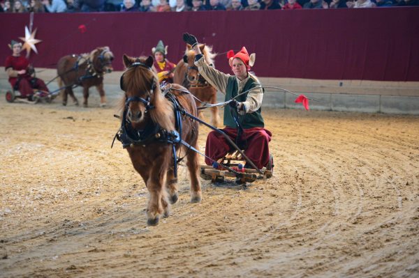 Weihnachtsgala Neustadt, Foto: Björn Schroeder