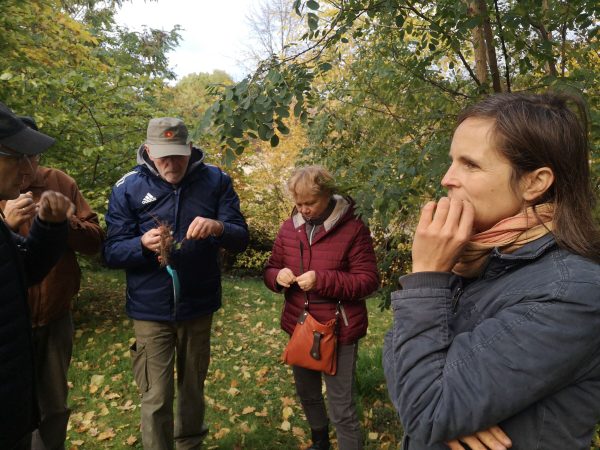 Maria Moch (re.) bei einer herbstlichen Kräuterführung, Foto: Andrea Heins, Lizenz: Tourismusverein Naturpark Barnim e. V.